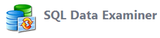 SQL Data Examiner
